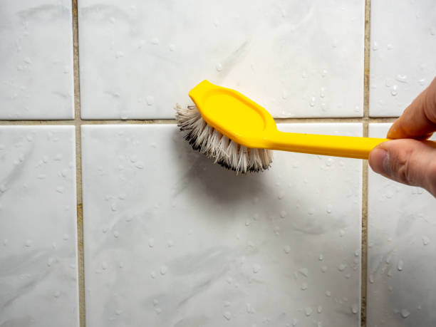 Best Emergency Mold Removal  in Prince Frederick, MD